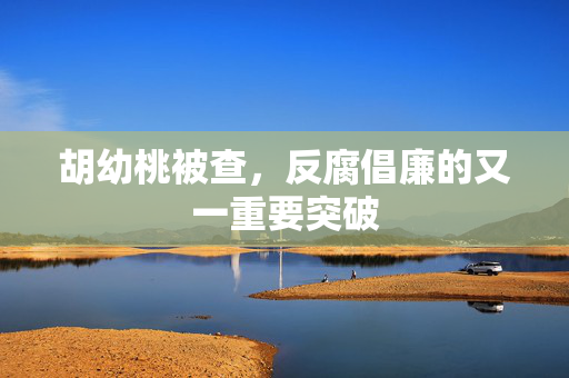 胡幼桃被查，反腐倡廉的又一重要突破