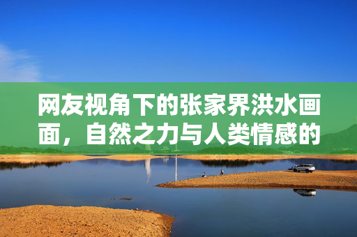 网友视角下的张家界洪水画面，自然之力与人类情感的交织
