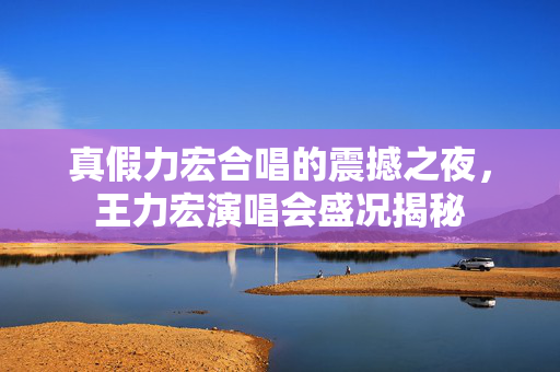 真假力宏合唱的震撼之夜，王力宏演唱会盛况揭秘
