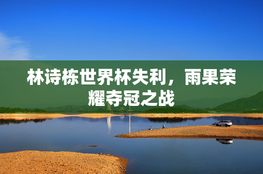 林诗栋世界杯失利，雨果荣耀夺冠之战