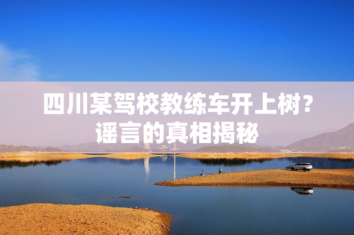四川某驾校教练车开上树？谣言的真相揭秘