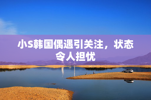 小S韩国偶遇引关注，状态令人担忧