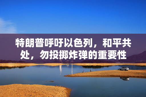 特朗普呼吁以色列，和平共处，勿投掷炸弹的重要性