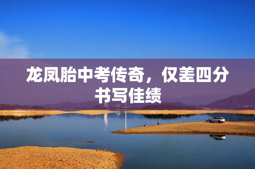 龙凤胎中考传奇，仅差四分书写佳绩