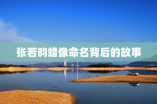 张若昀蜡像命名背后的故事
