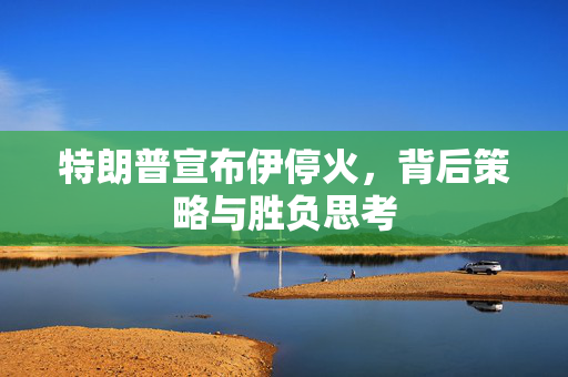 特朗普宣布伊停火，背后策略与胜负思考