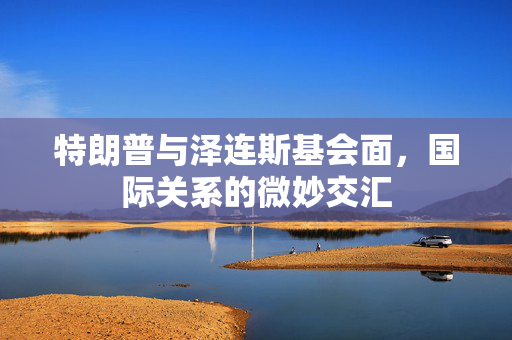 特朗普与泽连斯基会面，国际关系的微妙交汇