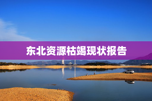 东北资源枯竭现状报告