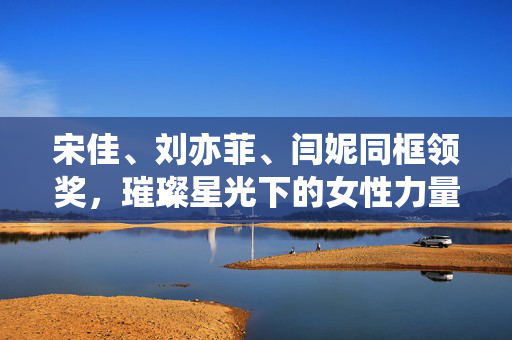 宋佳、刘亦菲、闫妮同框领奖，璀璨星光下的女性力量