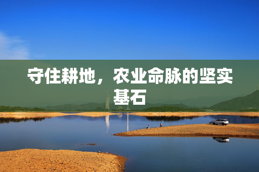 守住耕地，农业命脉的坚实基石