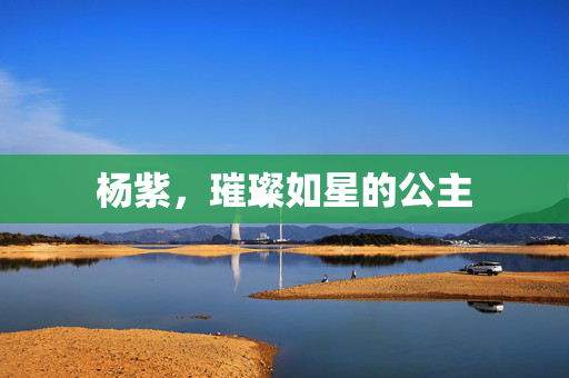杨紫，璀璨如星的公主