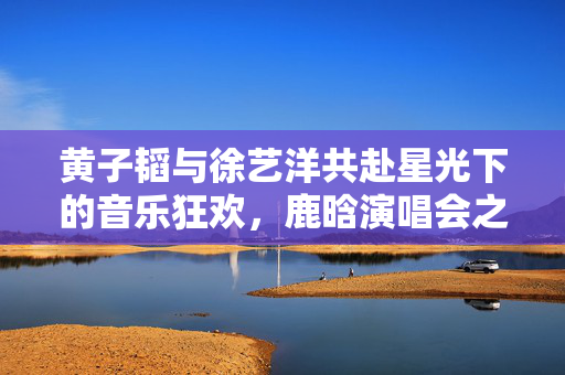 黄子韬与徐艺洋共赴星光下的音乐狂欢，鹿晗演唱会之旅