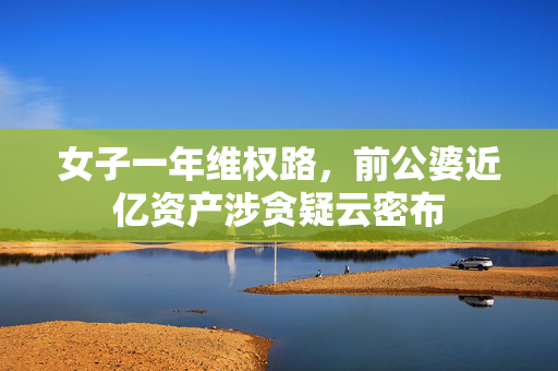 女子一年维权路，前公婆近亿资产涉贪疑云密布