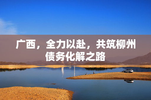 广西，全力以赴，共筑柳州债务化解之路