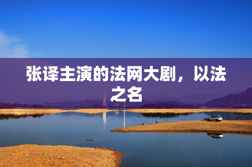 张译主演的法网大剧，以法之名