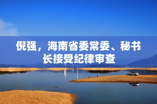 倪强，海南省委常委、秘书长接受纪律审查