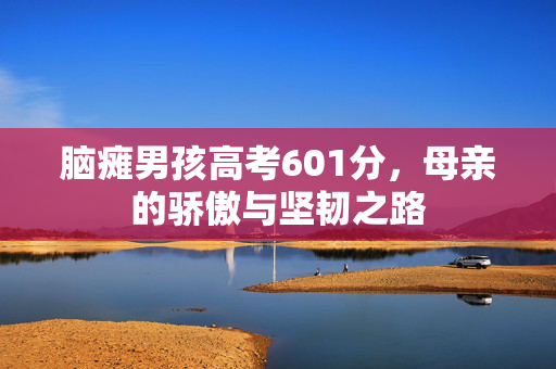 脑瘫男孩高考601分，母亲的骄傲与坚韧之路