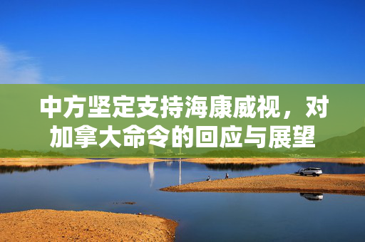 中方坚定支持海康威视，对加拿大命令的回应与展望
