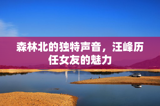 森林北的独特声音，汪峰历任女友的魅力