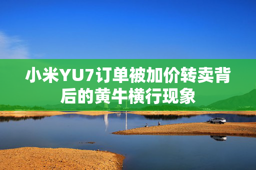 小米YU7订单被加价转卖背后的黄牛横行现象
