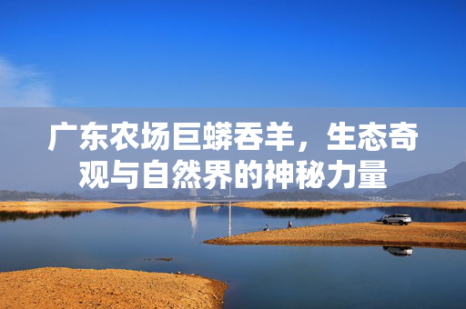 广东农场巨蟒吞羊，生态奇观与自然界的神秘力量