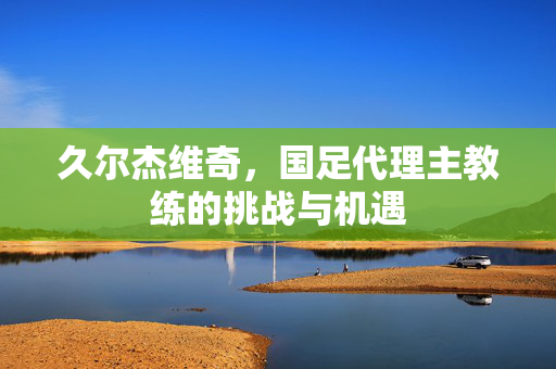 久尔杰维奇，国足代理主教练的挑战与机遇