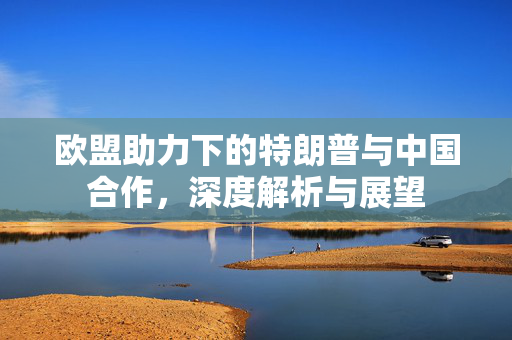 欧盟助力下的特朗普与中国合作，深度解析与展望