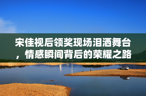宋佳视后领奖现场泪洒舞台，情感瞬间背后的荣耀之路