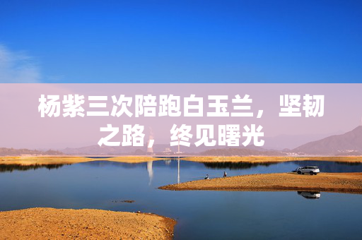 杨紫三次陪跑白玉兰，坚韧之路，终见曙光