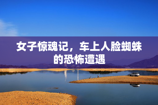 女子惊魂记，车上人脸蜘蛛的恐怖遭遇