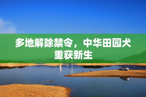 多地解除禁令，中华田园犬重获新生