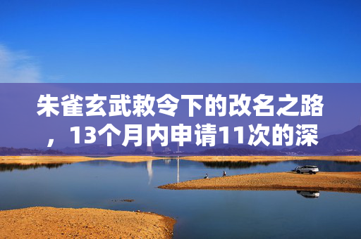 朱雀玄武敕令下的改名之路，13个月内申请11次的深度解析