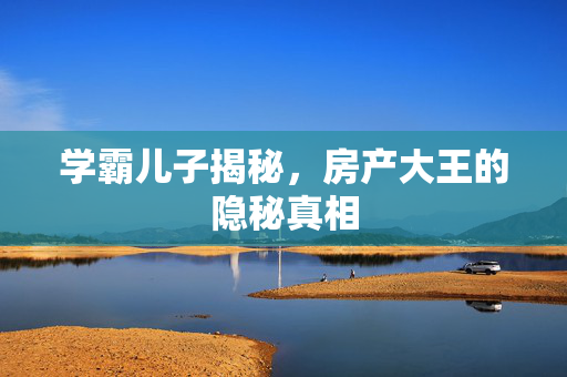 学霸儿子揭秘，房产大王的隐秘真相