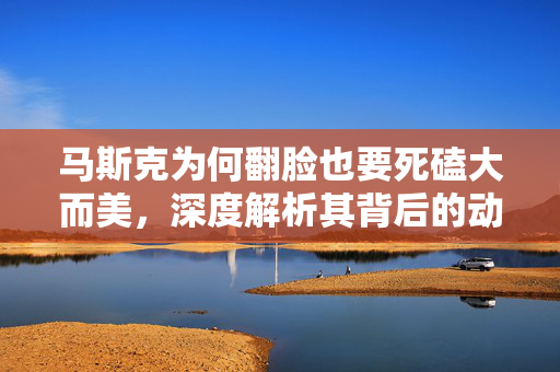 马斯克为何翻脸也要死磕大而美，深度解析其背后的动机与战略考量