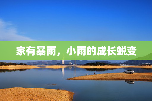 家有暴雨，小雨的成长蜕变
