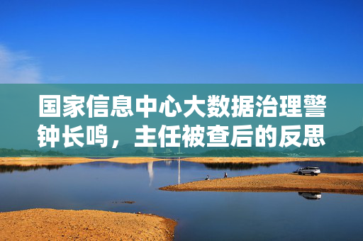 国家信息中心大数据治理警钟长鸣，主任被查后的反思与行动指南