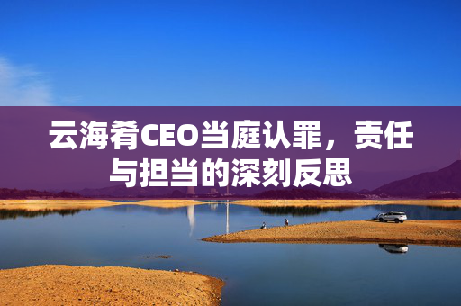 云海肴CEO当庭认罪，责任与担当的深刻反思