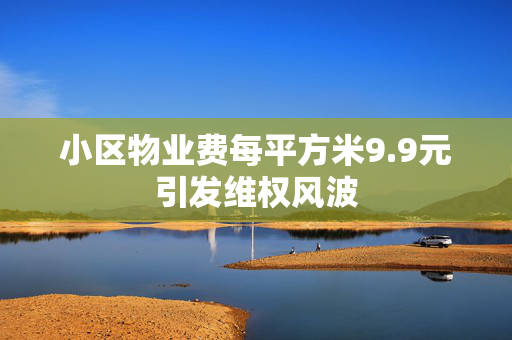 小区物业费每平方米9.9元引发维权风波