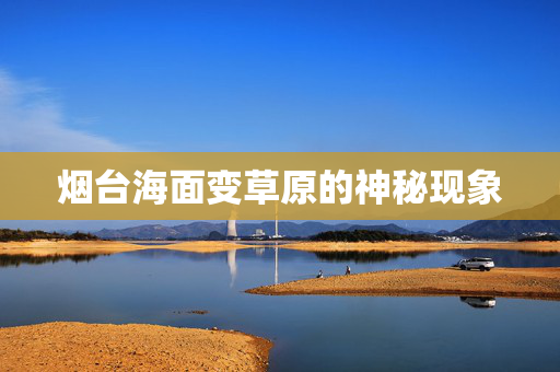 烟台海面变草原的神秘现象