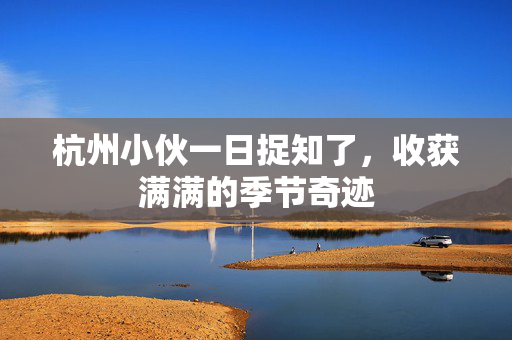 杭州小伙一日捉知了，收获满满的季节奇迹