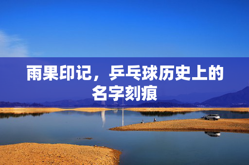 雨果印记，乒乓球历史上的名字刻痕