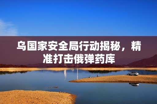乌国家安全局行动揭秘，精准打击俄弹药库