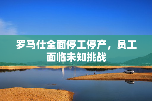 罗马仕全面停工停产，员工面临未知挑战