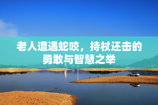 老人遭遇蛇咬，持杖还击的勇敢与智慧之举