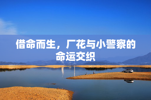借命而生，厂花与小警察的命运交织