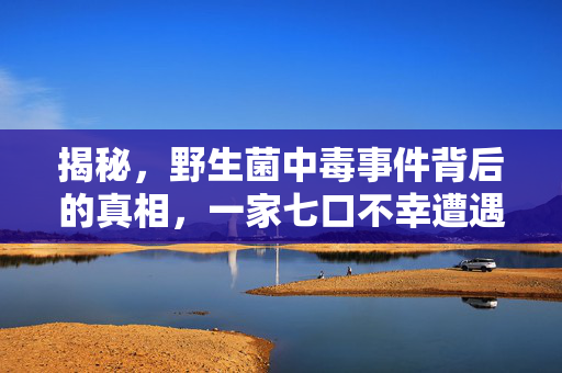 揭秘，野生菌中毒事件背后的真相，一家七口不幸遭遇的悲剧