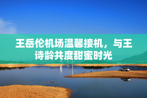 王岳伦机场温馨接机，与王诗龄共度甜蜜时光