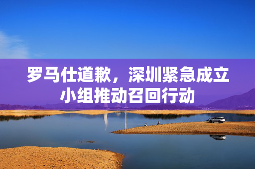 罗马仕道歉，深圳紧急成立小组推动召回行动