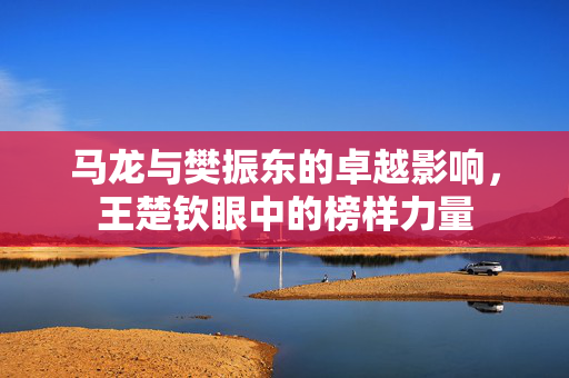 马龙与樊振东的卓越影响，王楚钦眼中的榜样力量