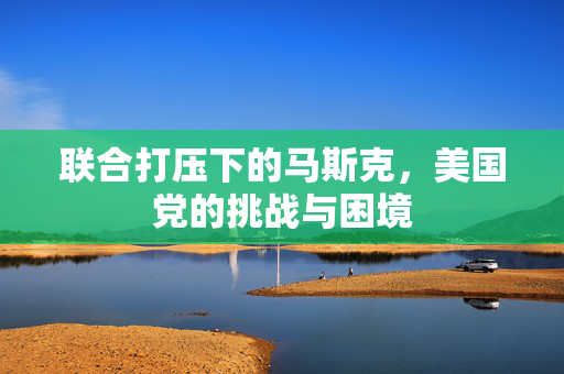 联合打压下的马斯克，美国党的挑战与困境
